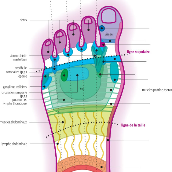 Réflexologie plantaire - Géraldine Viatte, thérapeute diplômée fédérale & Réflexothérapeute